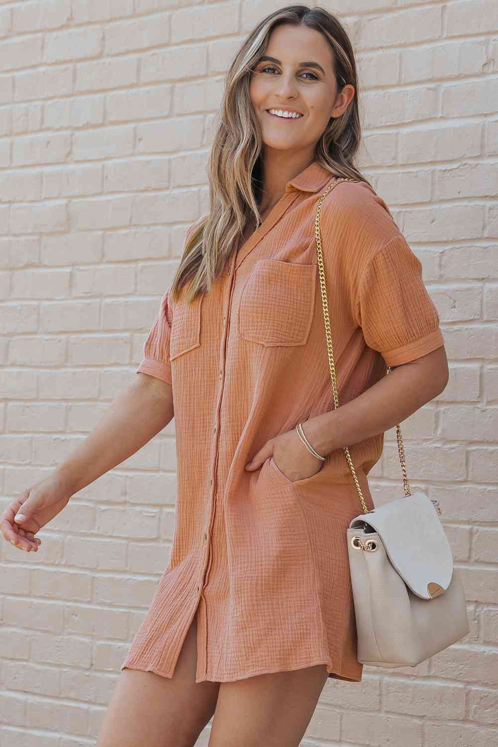 Collared Neck Dress with Pockets