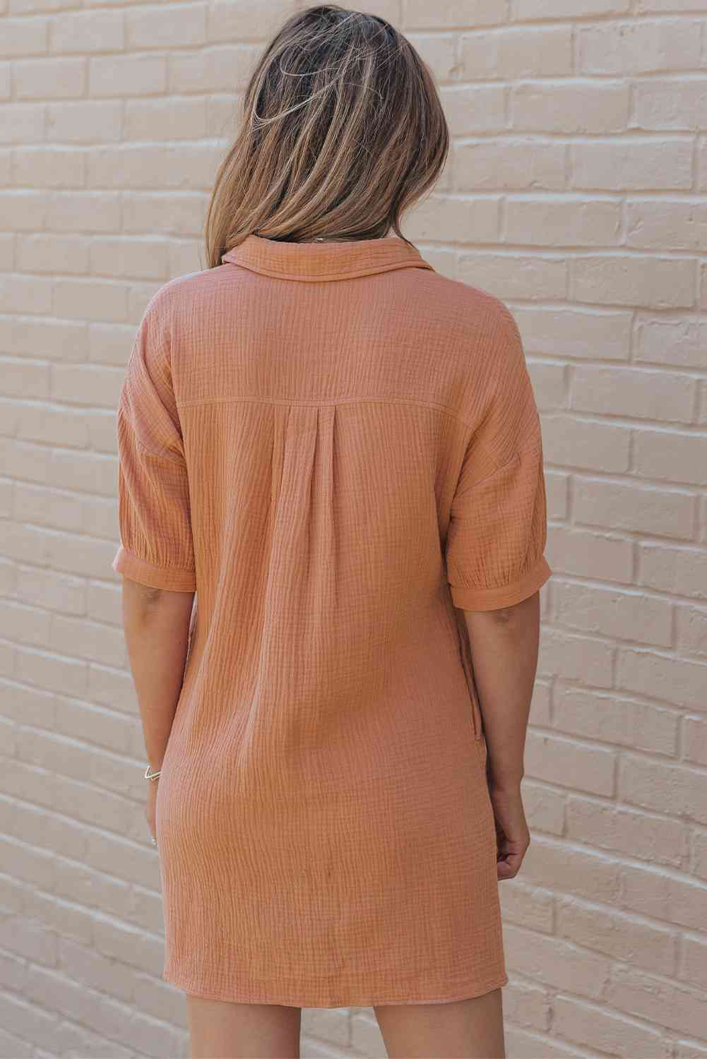 Collared Neck Dress with Pockets