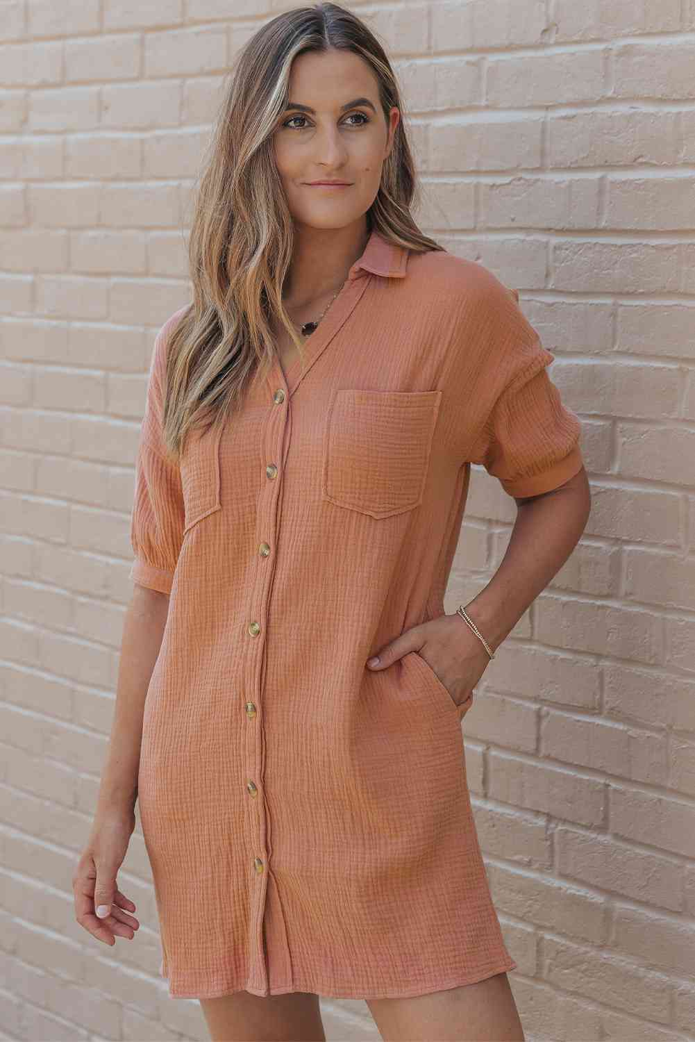 Collared Neck Dress with Pockets